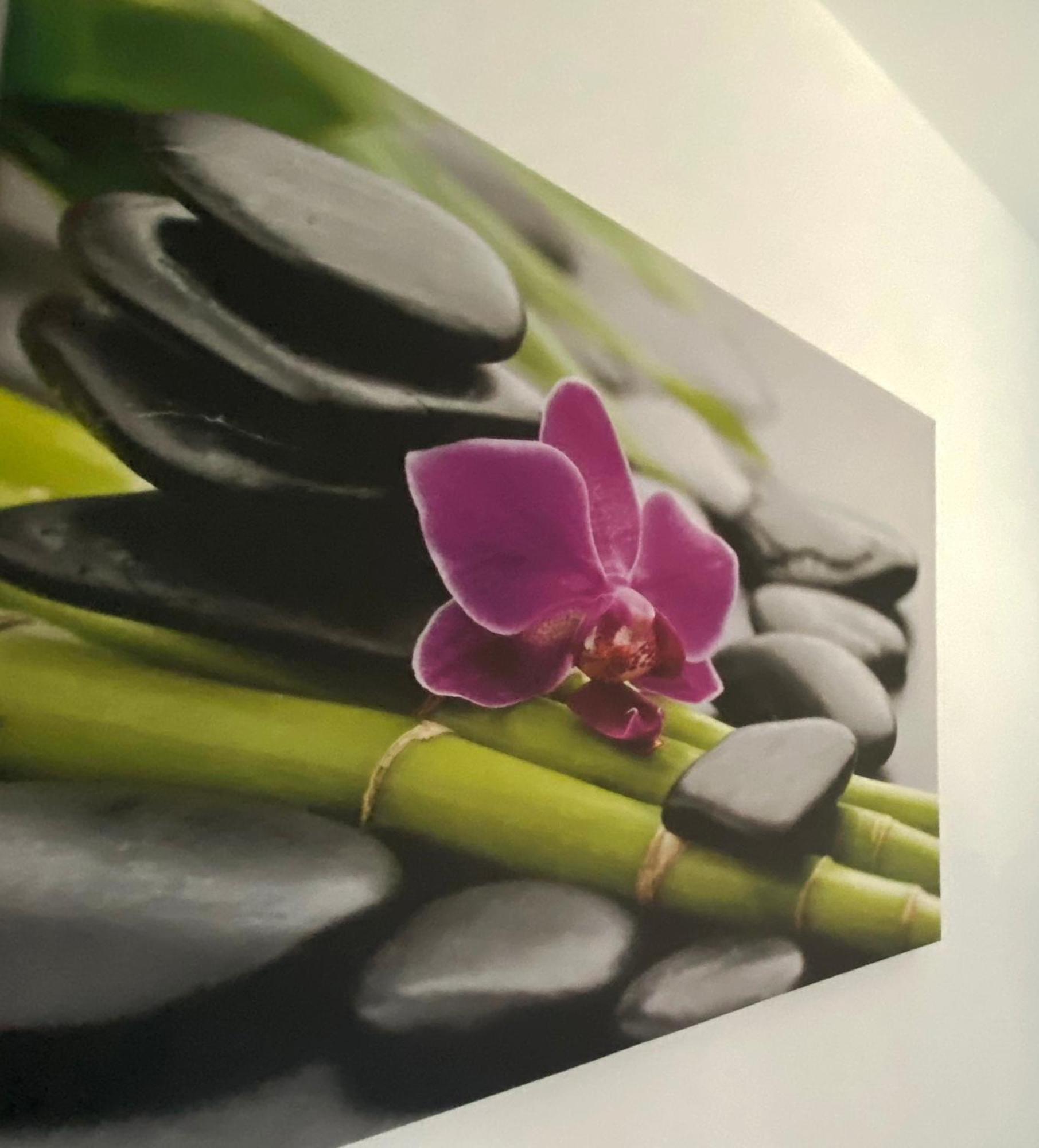 Four Flowers Apartman Siófok Exteriér fotografie